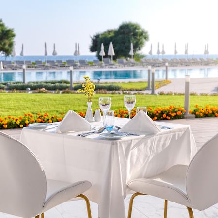 Ivi Mare - Designed For Adults By Louis Hotels Geroskipou Exteriér fotografie The resort's pool